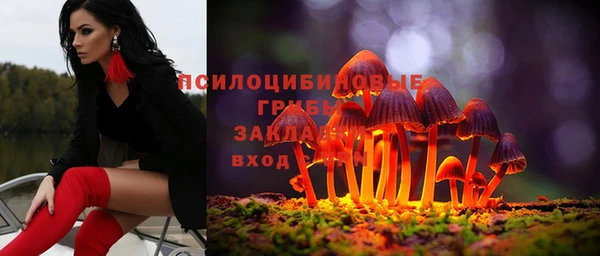 apvp Аркадак