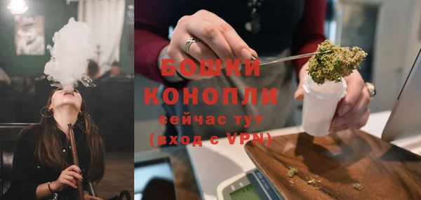 гидра Арсеньев