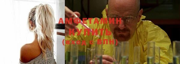 гидра Арсеньев