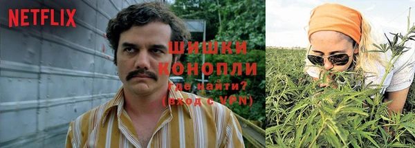 apvp Аркадак