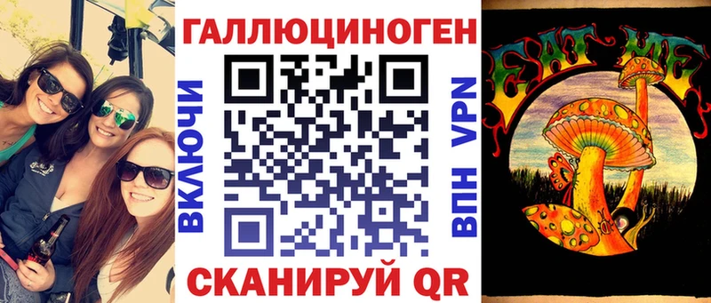 как найти наркотики  Рошаль  Псилоцибиновые грибы Psilocybe 