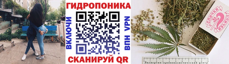 Бошки марихуана индика где можно купить Рошаль